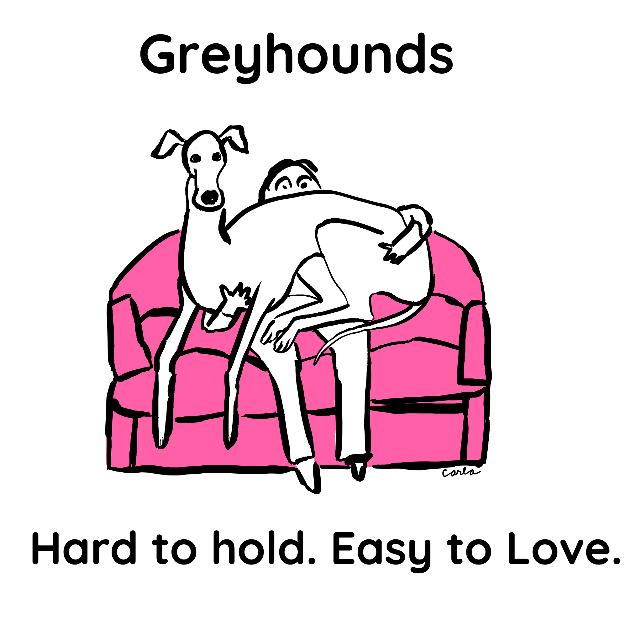 Greyhound dog breed sitting on lap by Carla Miler Art