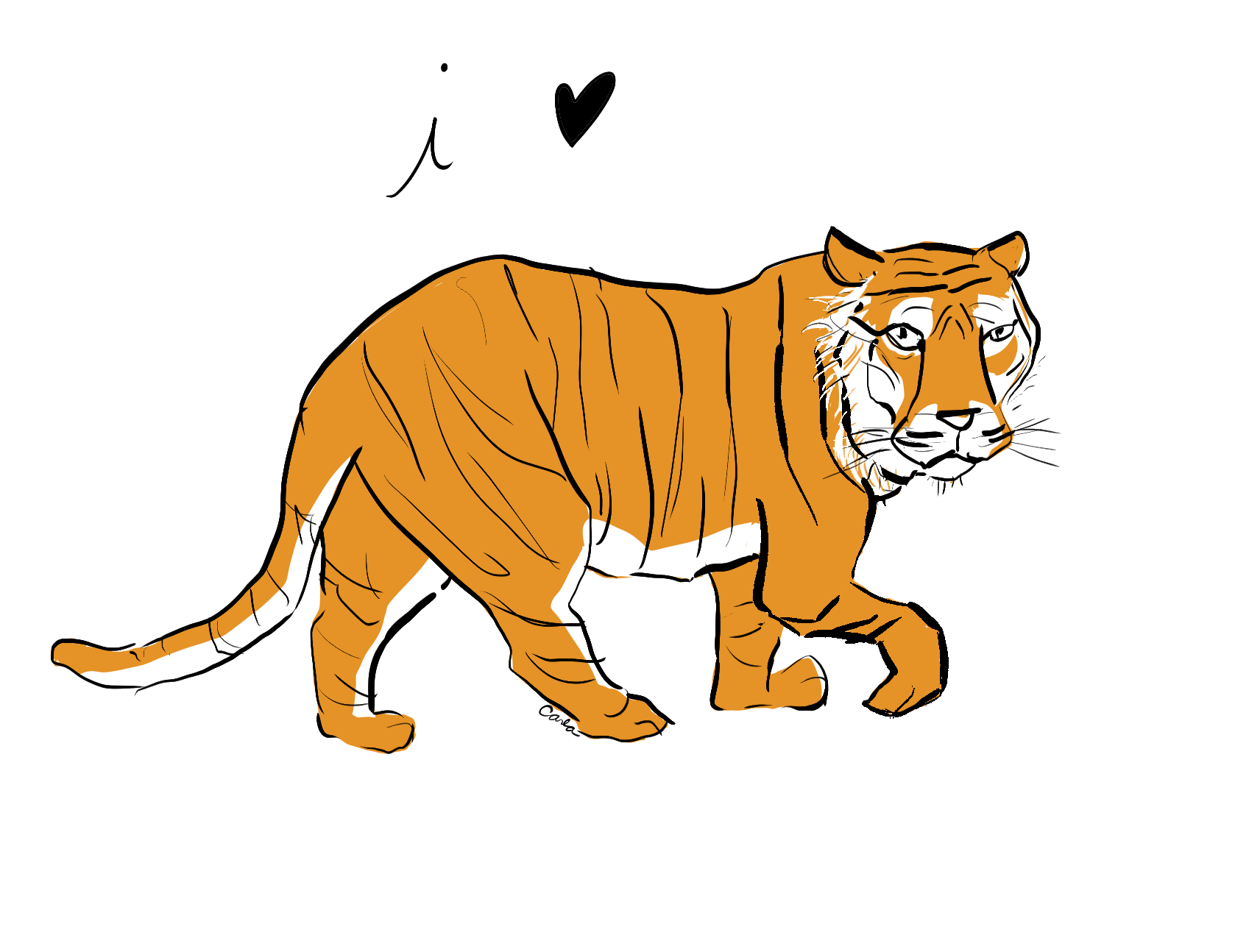 Gifts for tiger lover endangered Malayan Sumatraran 