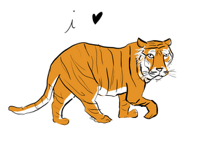 Gifts for tiger lover endangered Malayan Sumatraran 
